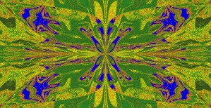 Abstract Butterfly 25